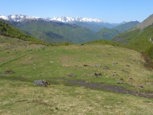 Looking down on Coumebiere