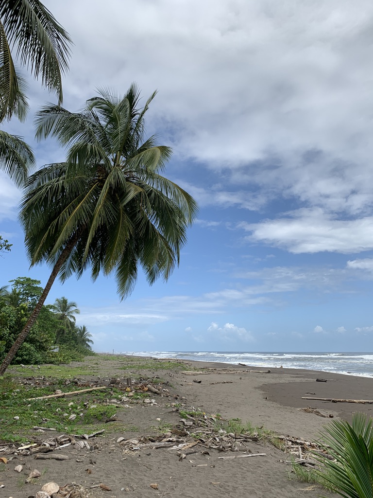 Caribbean coast at Tortuguero